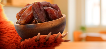 Hogyan válasszunk megfelelő datolyát? A Grizly tanácsai